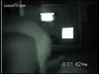 Horny doggy copulates his owner in the black